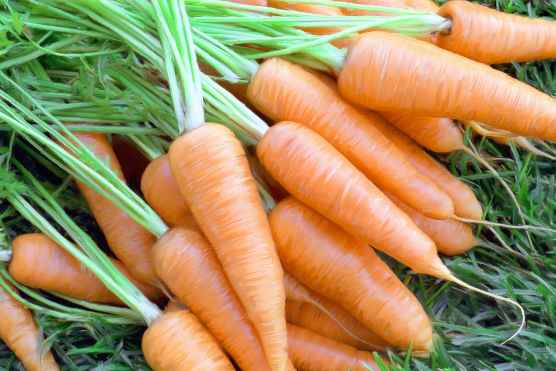 Frischerhaufen Von Orangen Karotten Gemüse Auf Gras Wallpaper