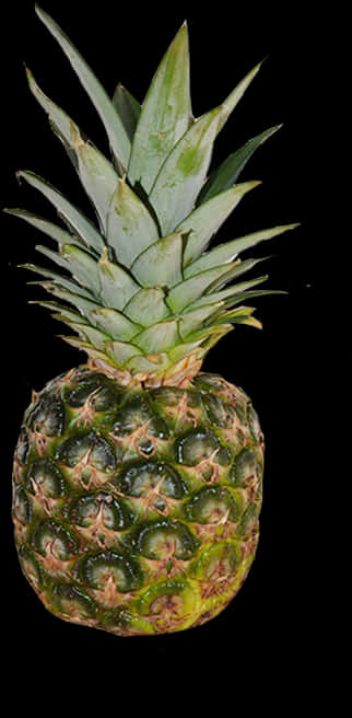 Fresh Pineapple Black Background PNG