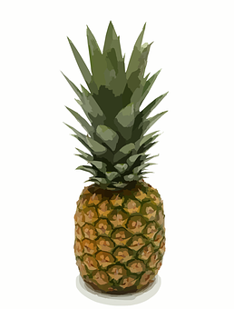 Fresh Pineapple Illustration PNG