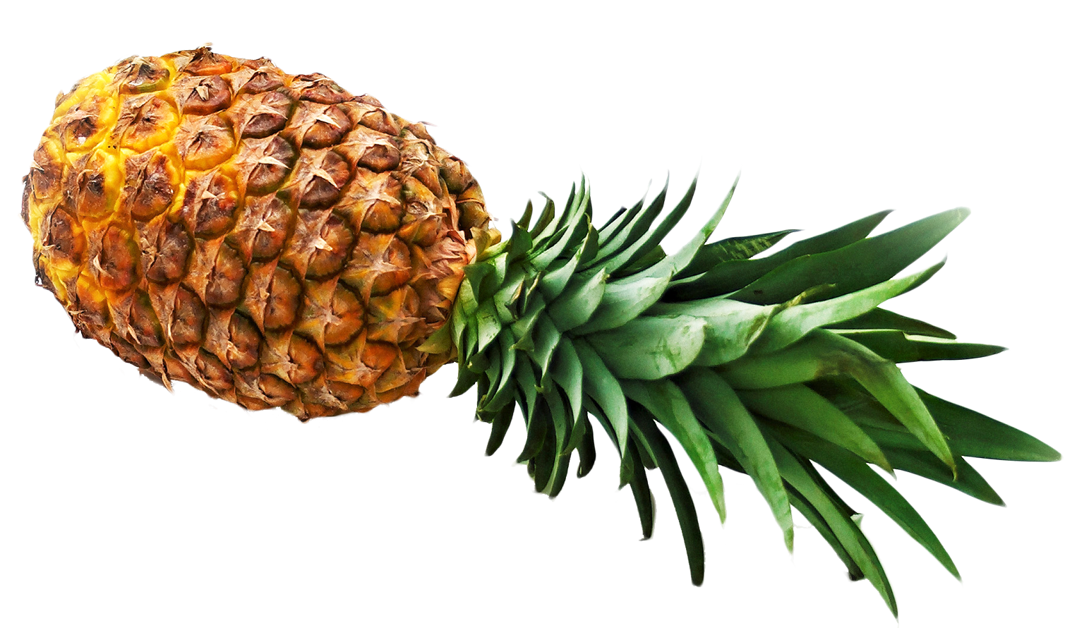 Fresh Pineapple Isolated.png PNG