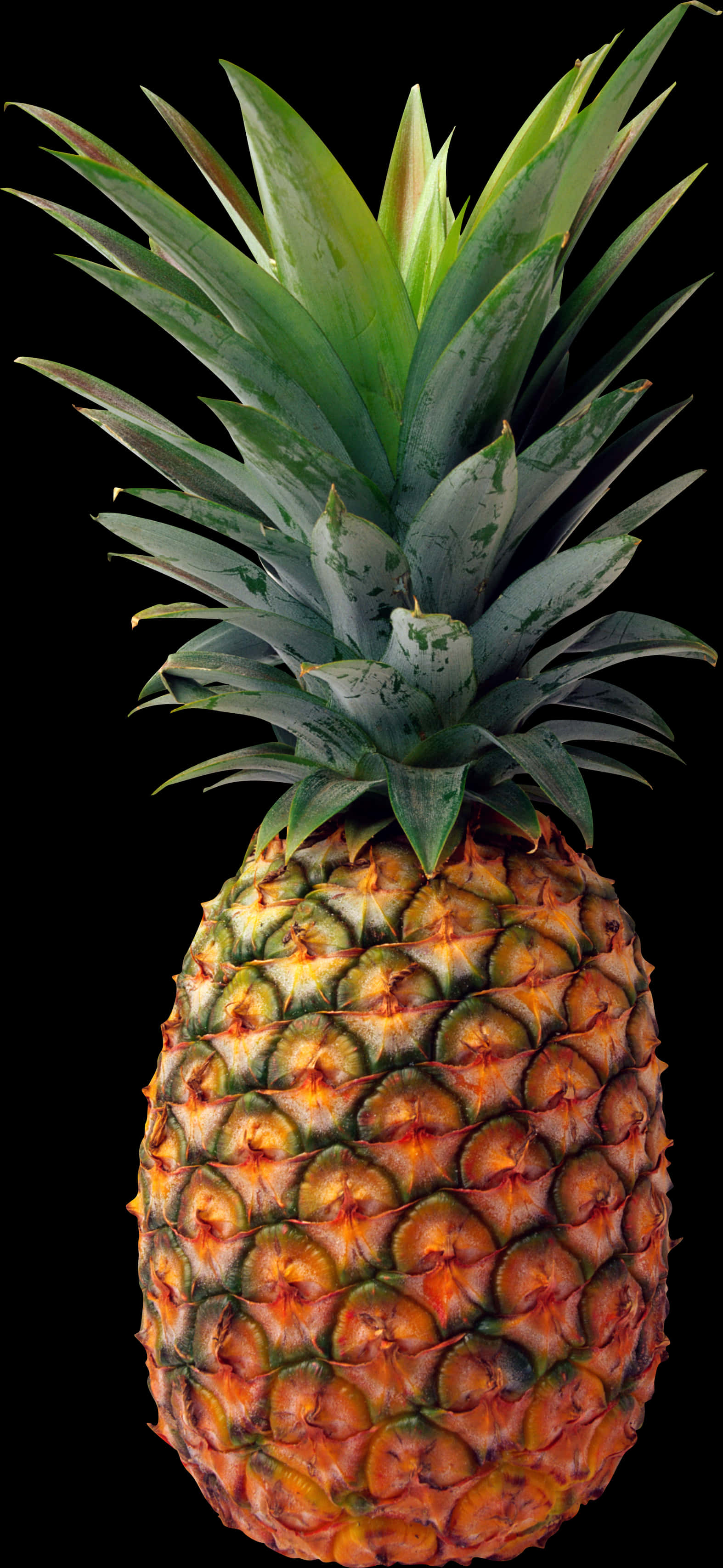 Fresh Pineapple Isolatedon Black PNG