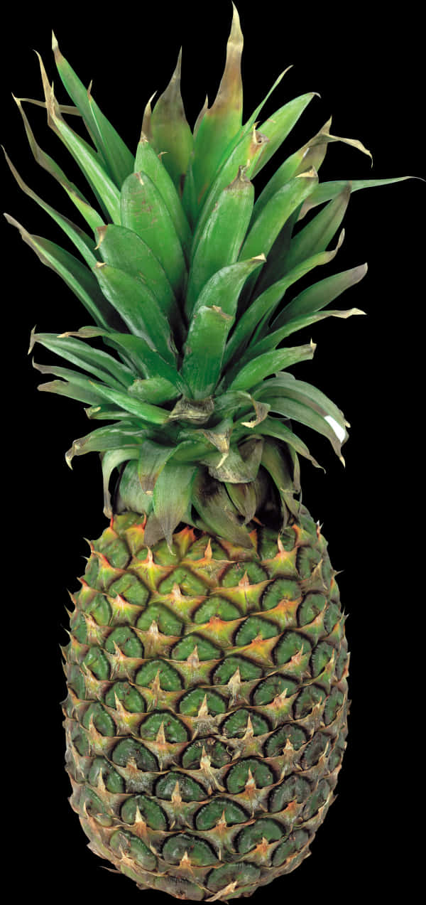 Fresh Pineapple Isolatedon Black PNG