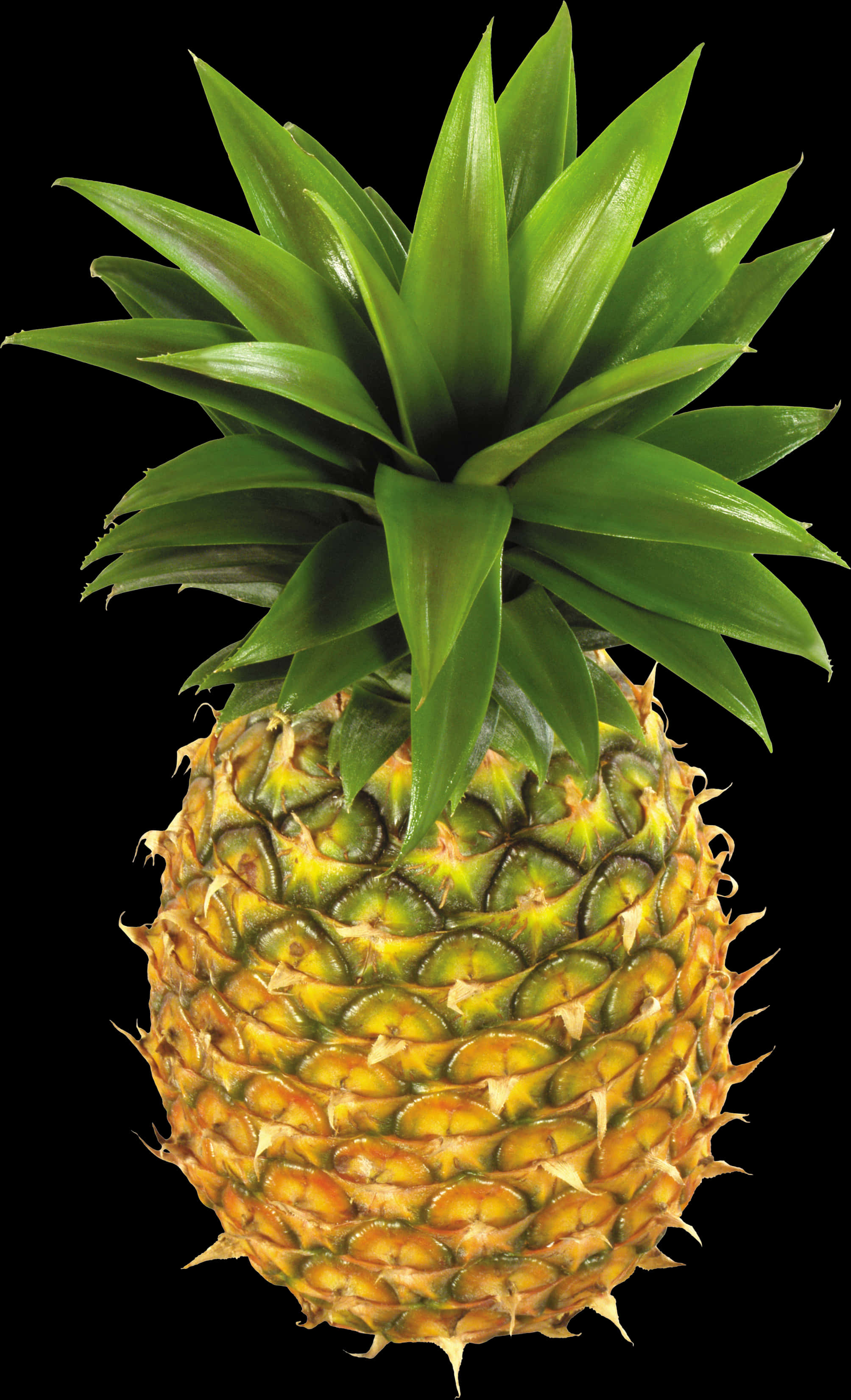 Fresh Pineapple Isolatedon Black PNG