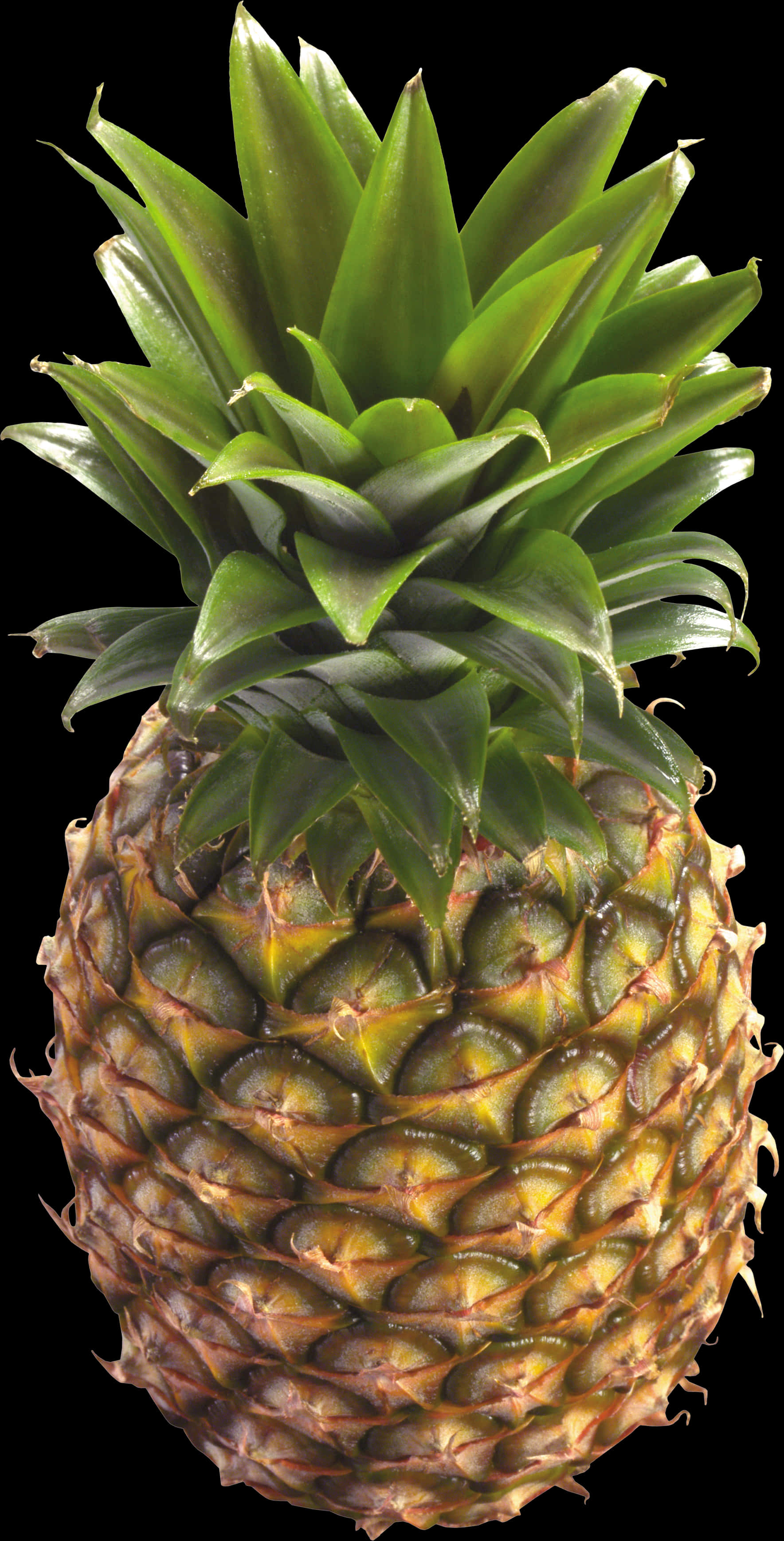 Fresh Pineapple Isolatedon Black PNG