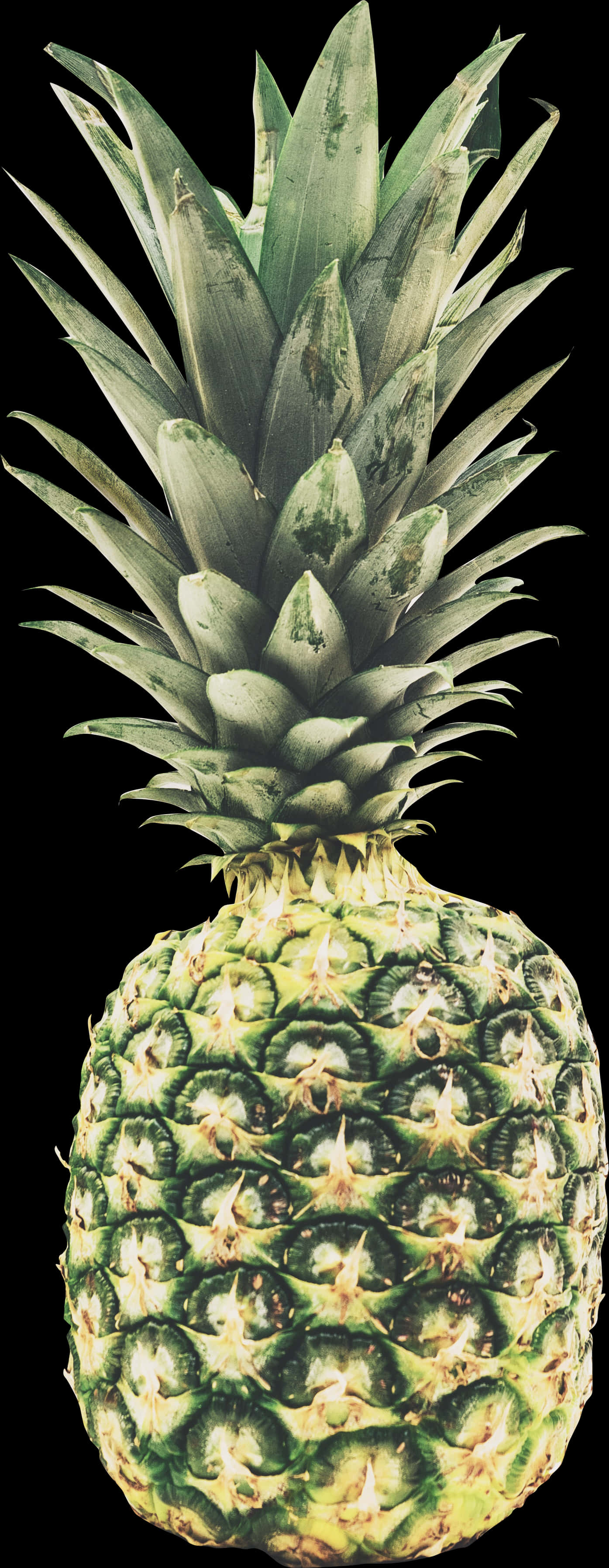 Fresh Pineapple Isolatedon Black PNG