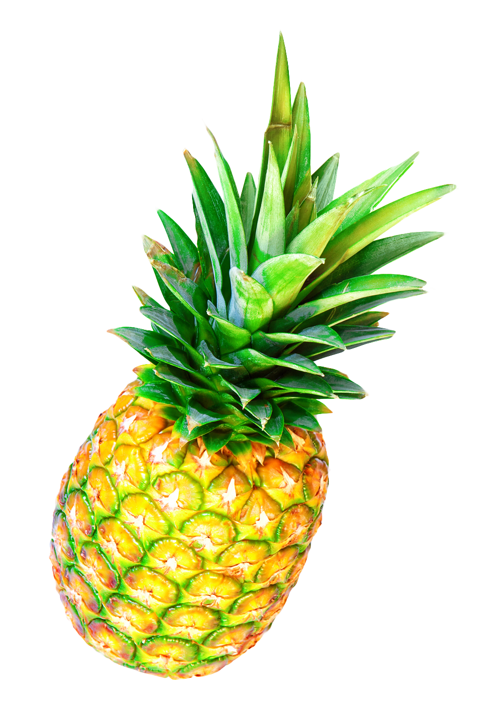 Fresh Pineapple Isolatedon Gray PNG
