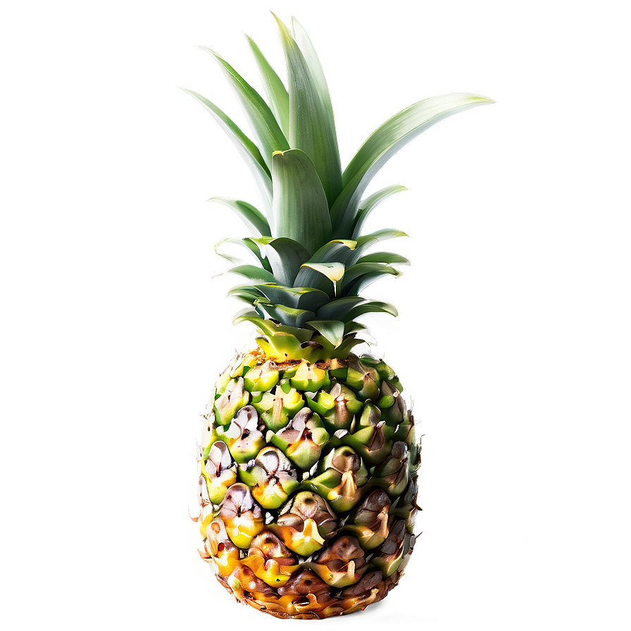 Fresh Pineapple Png Ajf42 PNG