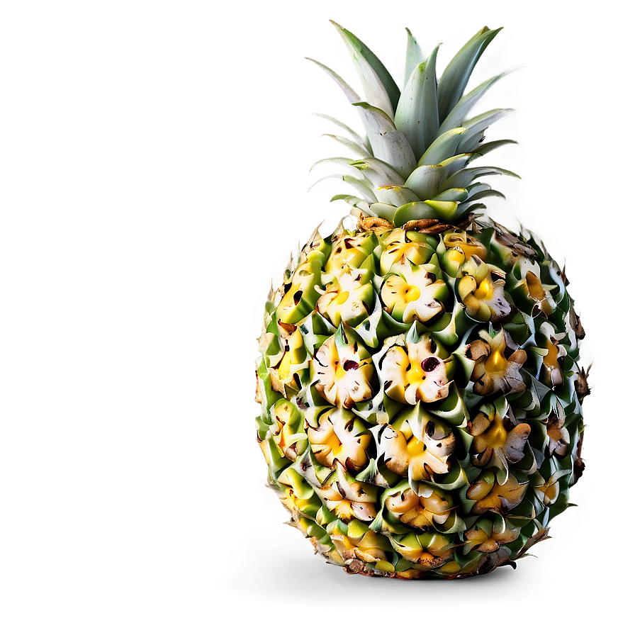 Fresh Pineapple Png Vba89 PNG