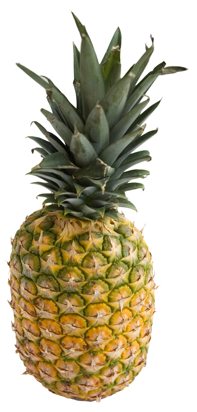 Fresh Pineapple Standing Isolated.png PNG