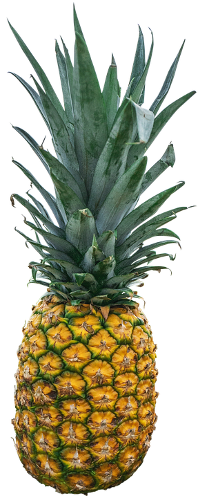 Fresh Pineapple Standing PNG