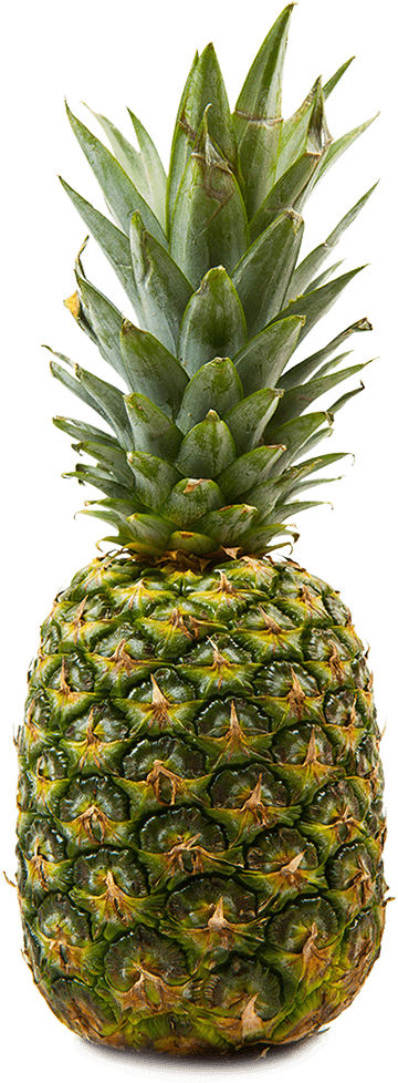 Fresh Pineapple Tropical Fruit PNG