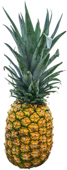 Fresh Pineappleon Black Background.jpg PNG