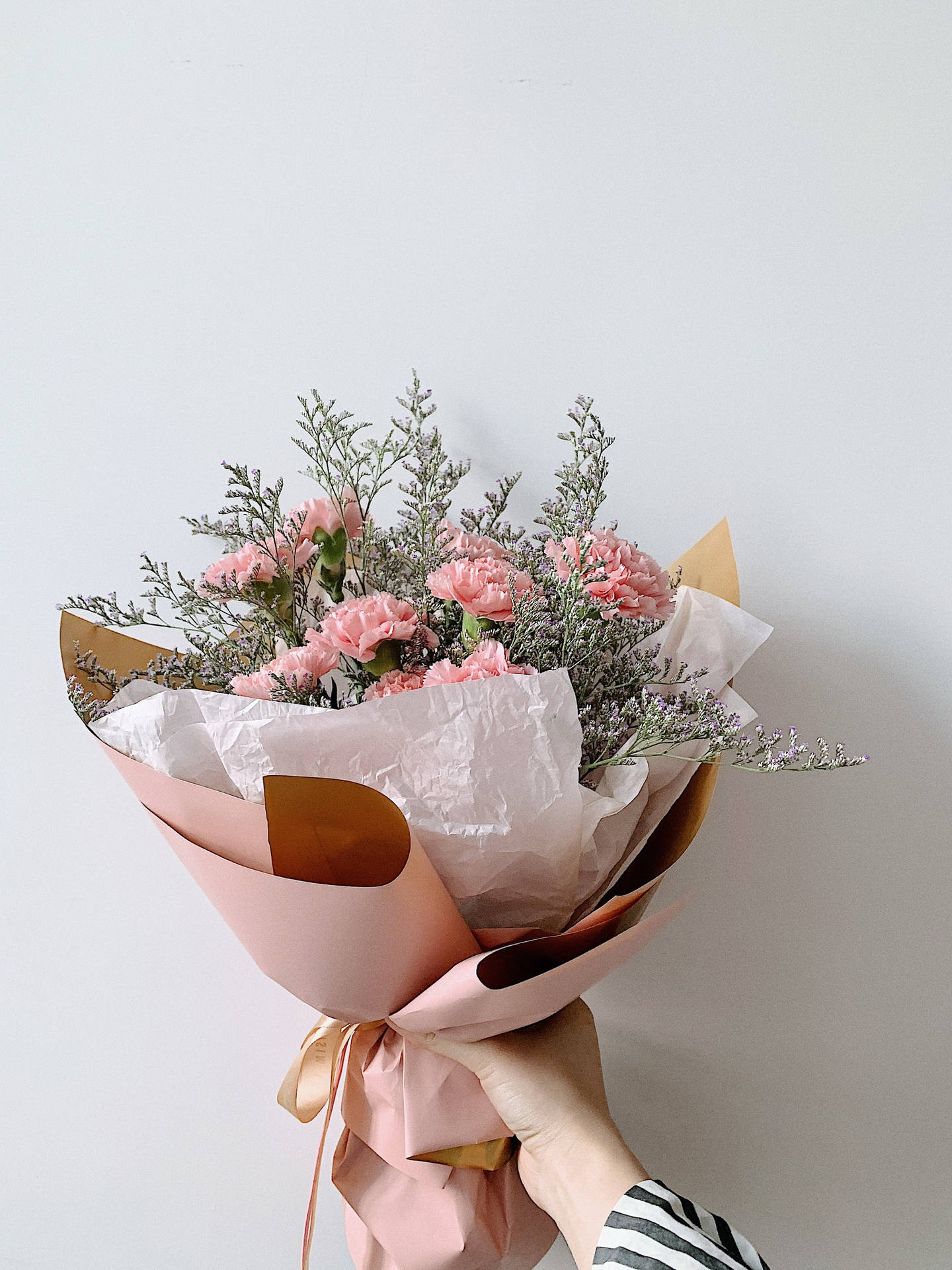 Fresh Pink Carnations Flower Bouquet Wallpaper