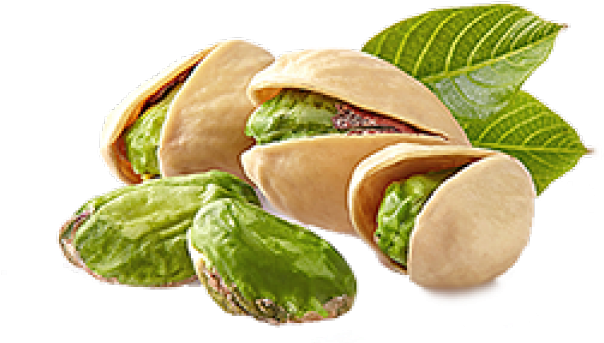 Fresh Pistachios With Leaves.png PNG