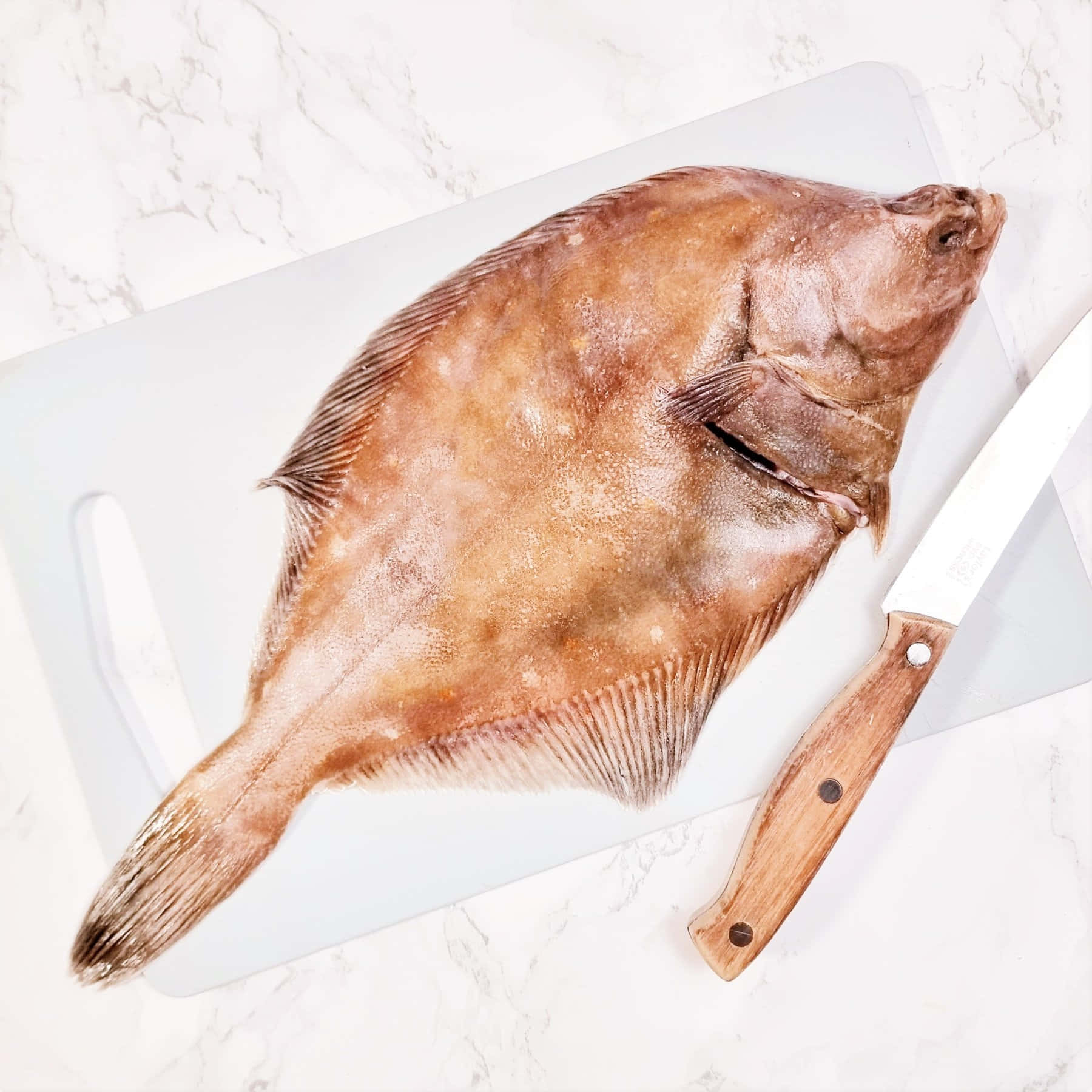 Fresh Plaice Fishon Cutting Board Wallpaper