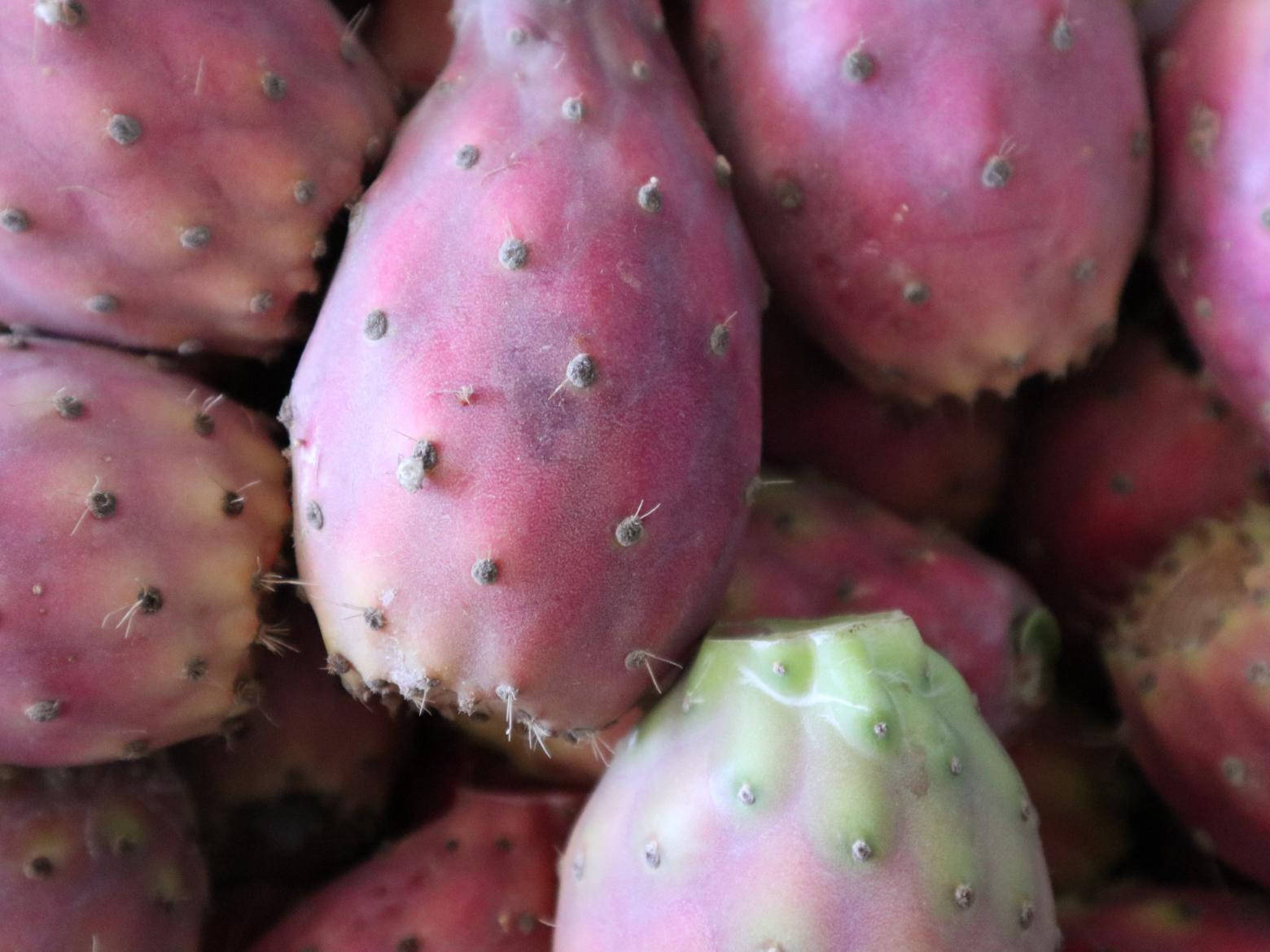 Fresh Prickly Pear Cactus Fruit Wallpaper