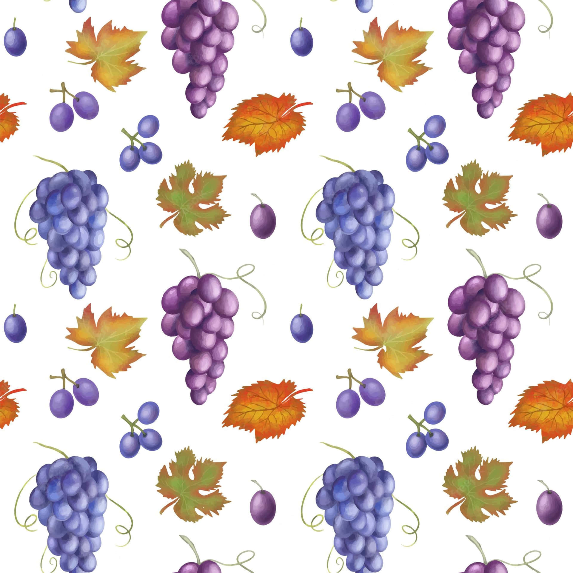 Fresh Purple Grapes Bunch Wallpaper