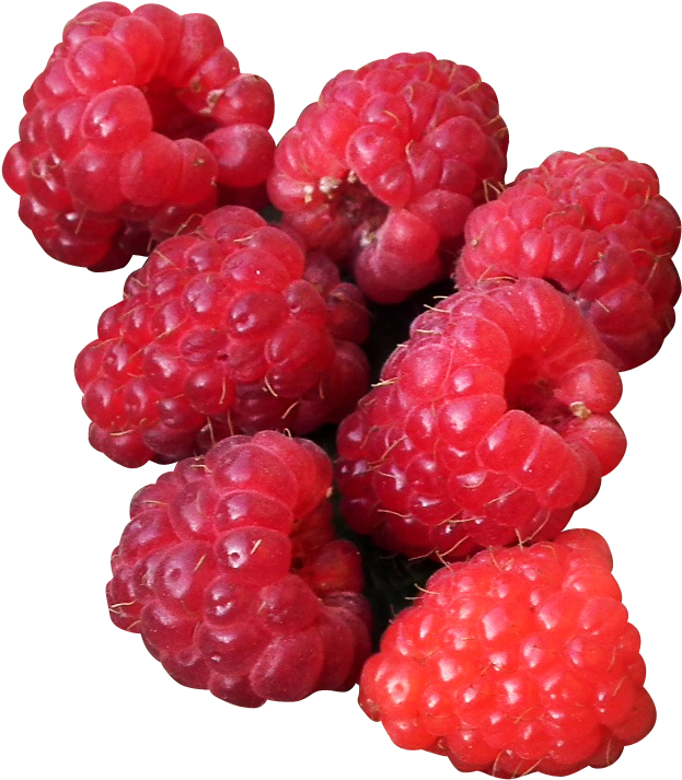Fresh Raspberries Cluster.png PNG