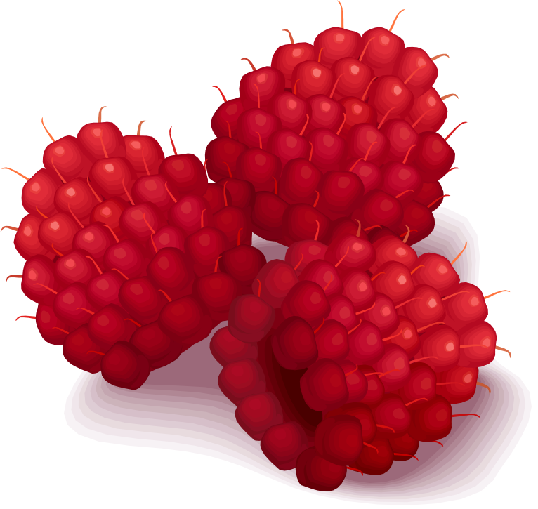 Fresh Raspberries Illustration PNG