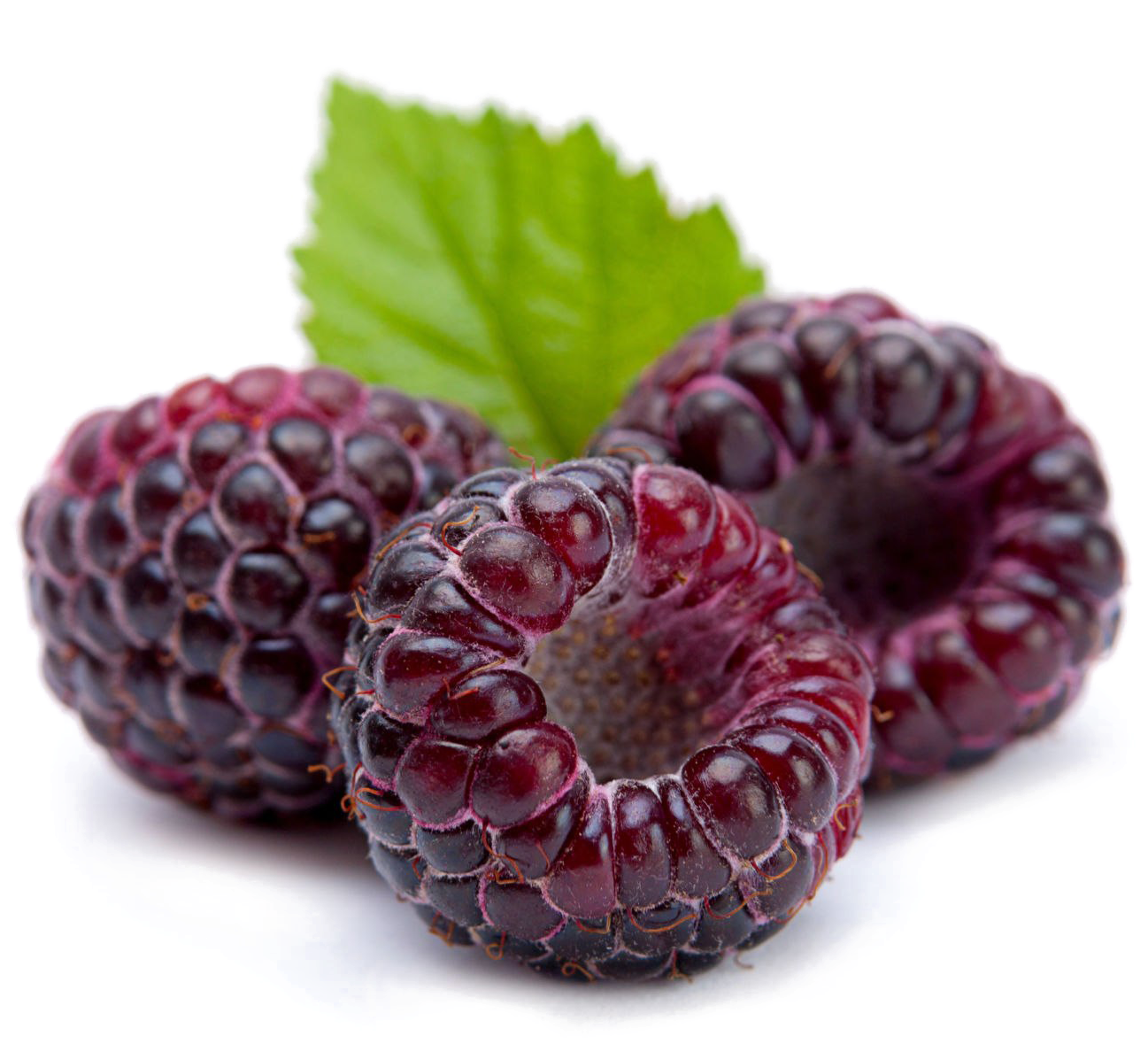 Fresh Raspberrieswith Leaf.png PNG