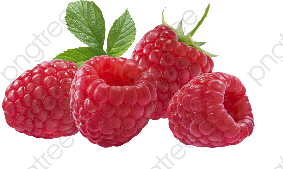 Fresh Raspberrieswith Leaves.png PNG