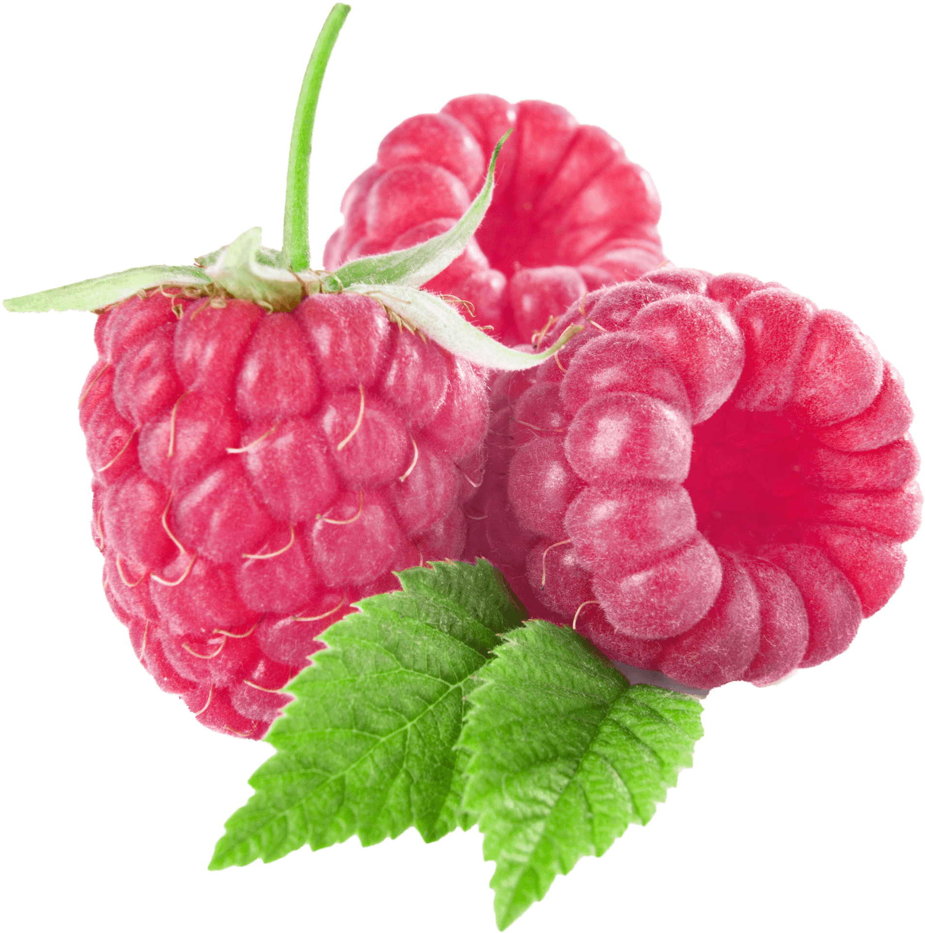Fresh Raspberrieswith Leaves.png PNG