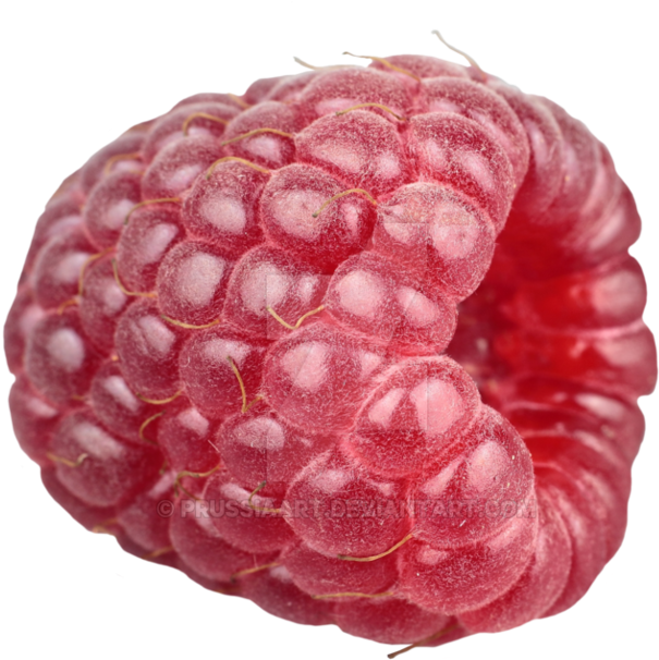 Fresh Raspberry Closeup.png PNG
