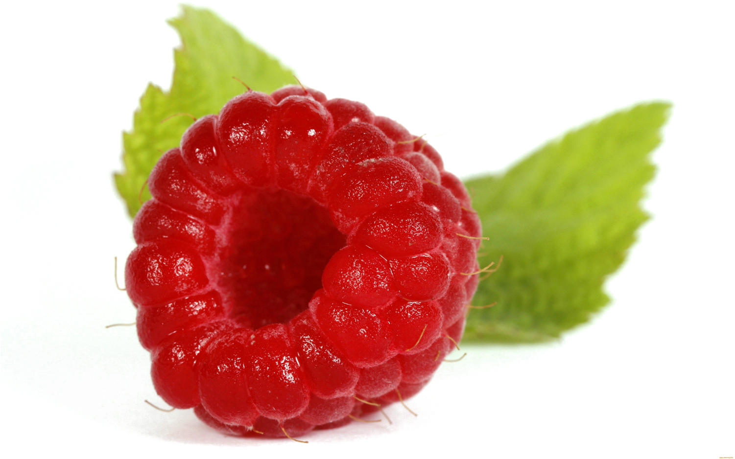 Fresh Raspberrywith Leaves.png PNG
