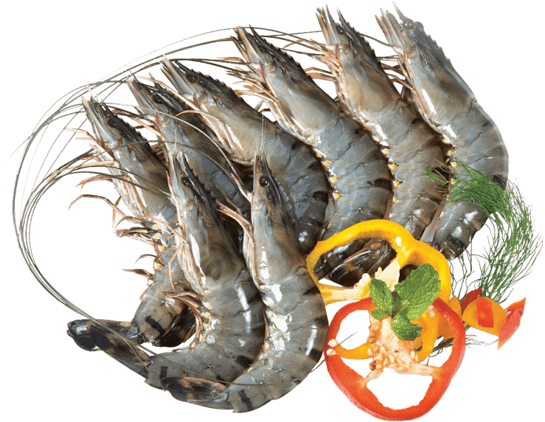 Fresh Raw Shrimp With Herbsand Spices PNG