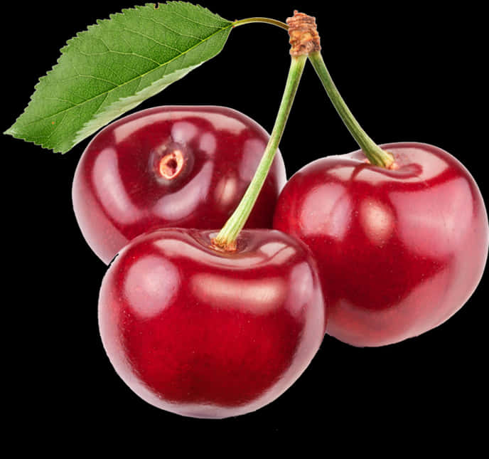 Fresh Red Cherrieswith Leaf PNG