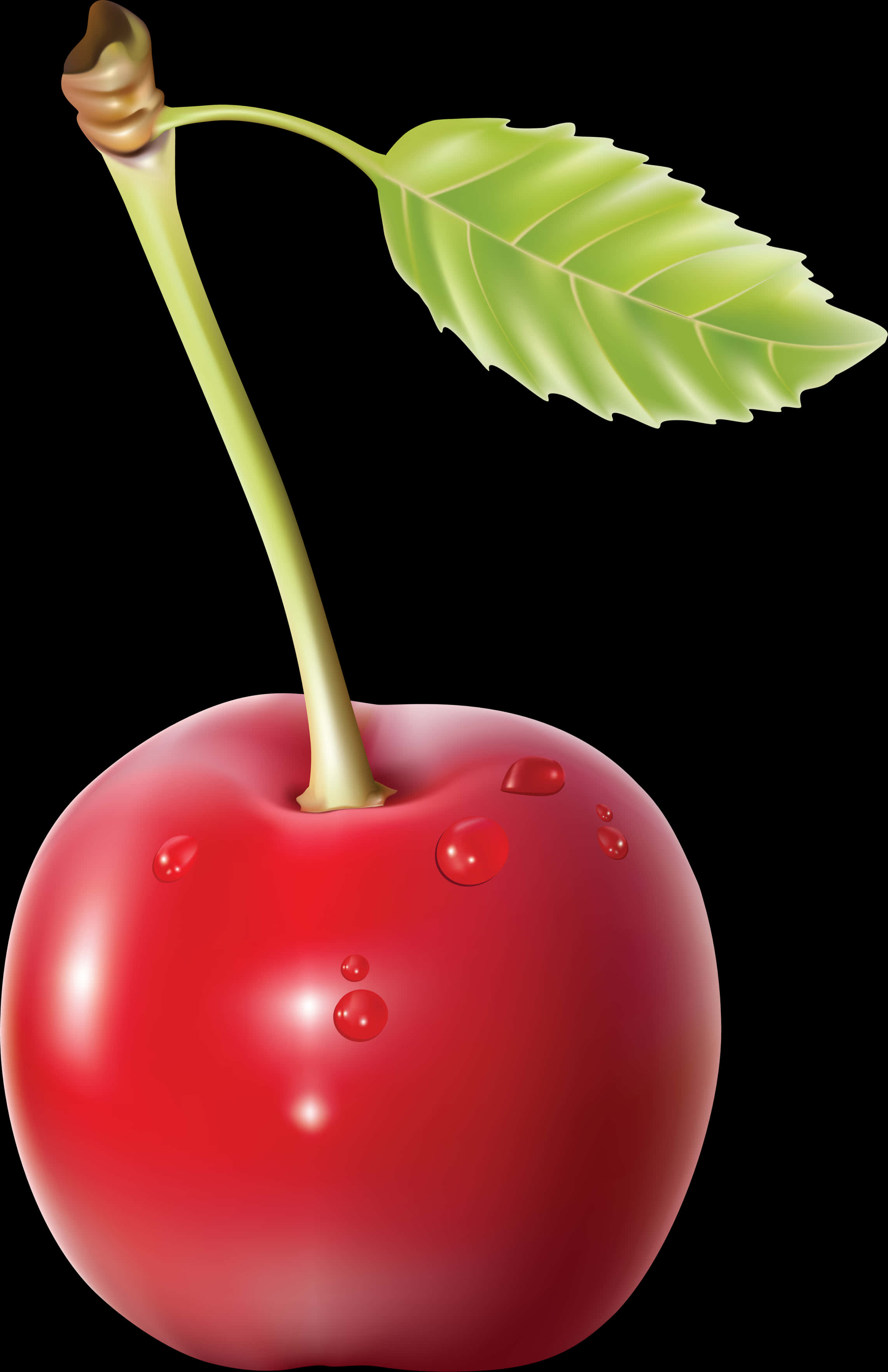 Fresh Red Cherrywith Dew Drops PNG