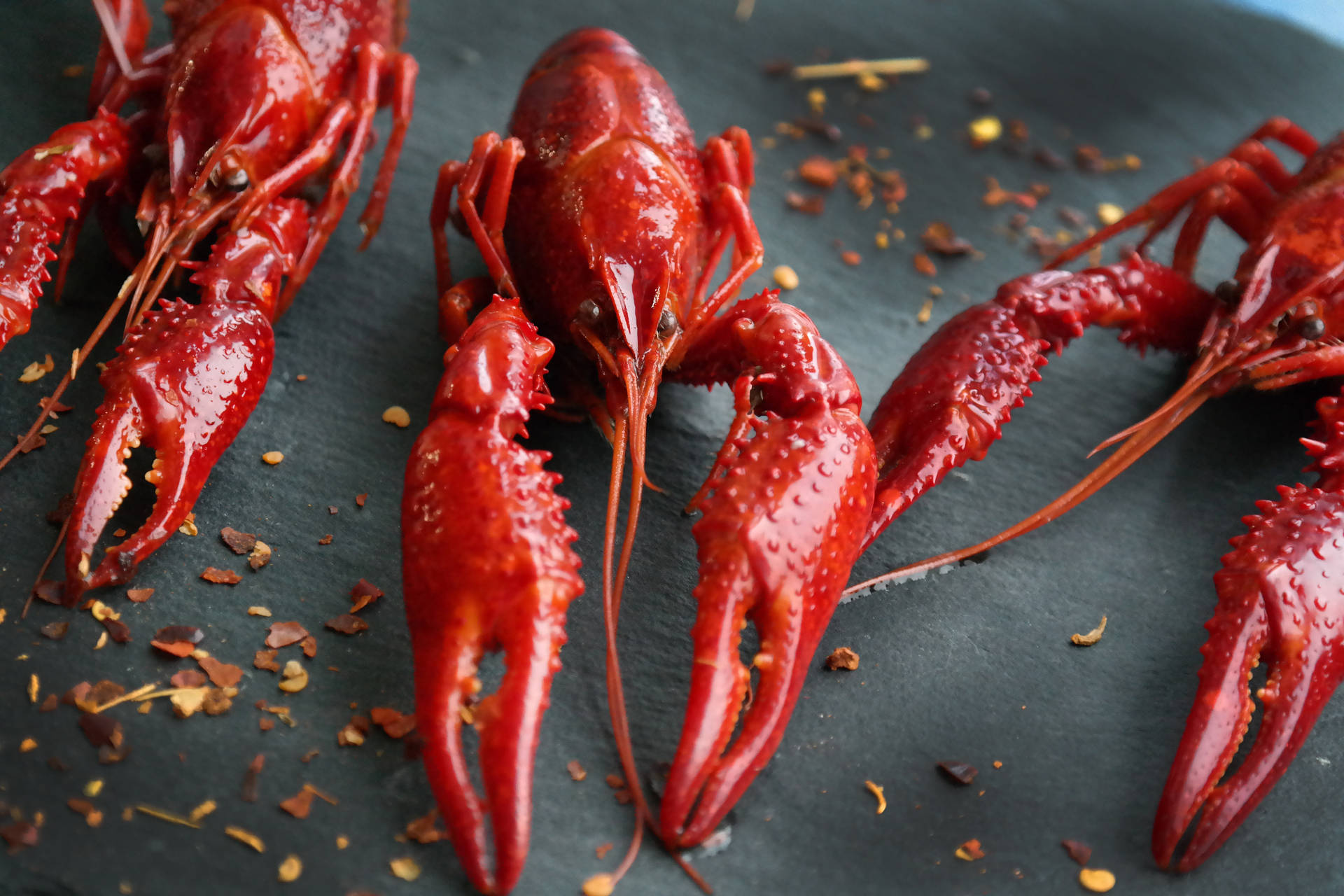 Fresh Red Crayfish With Dried Leaves Wallpaper