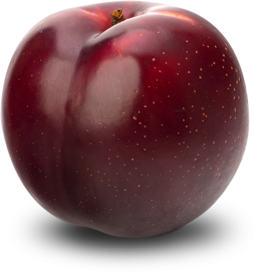 Fresh Red Plum Fruit PNG