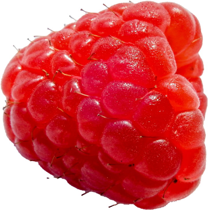 Fresh Red Raspberry Closeup.png PNG