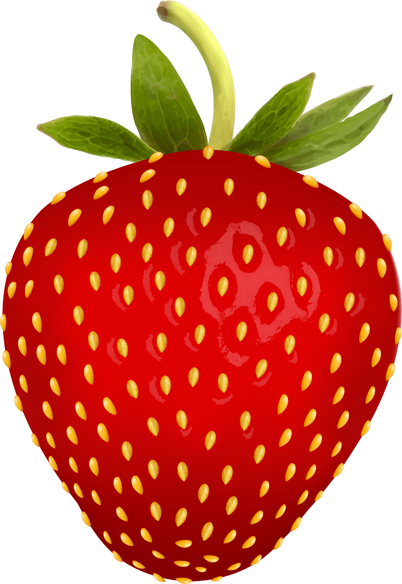 Fresh Red Strawberry Illustration.png PNG