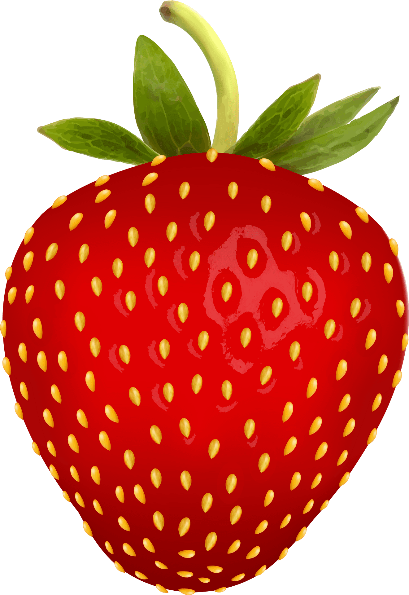 Download Fresh Red Strawberry Illustration.png 