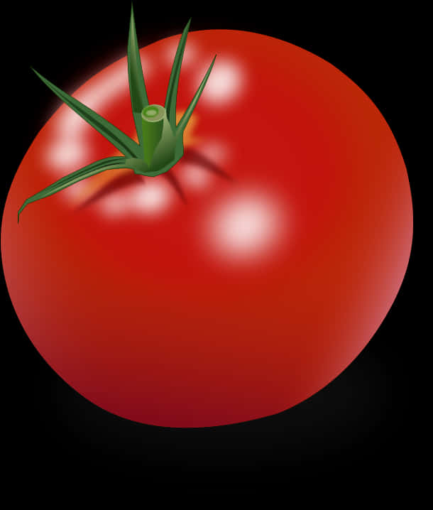 Fresh Red Tomato Illustration PNG