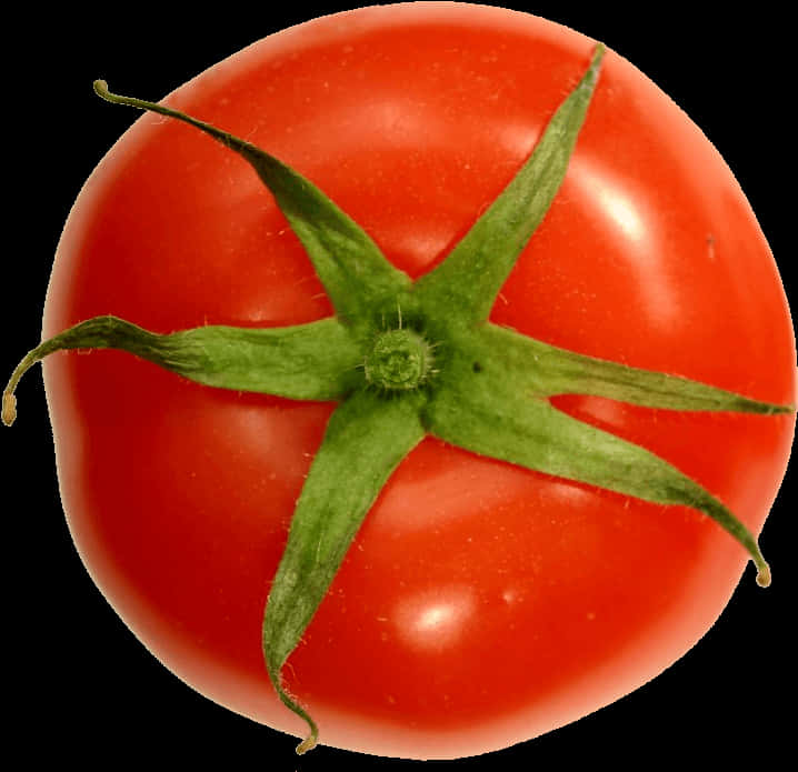 Fresh Red Tomato Top View PNG