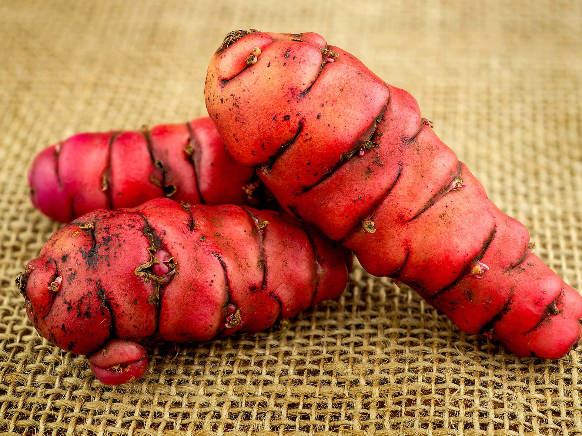 Fresh Red Yam On Brown Cloth Wallpaper
