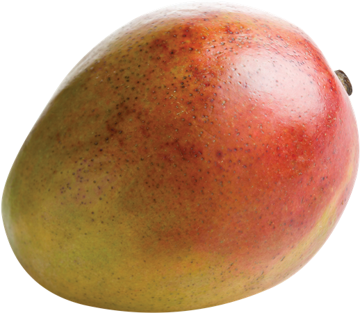 Fresh Ripe Mango Fruit PNG