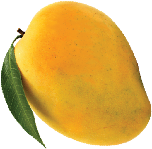 Fresh Ripe Mango With Leaf PNG