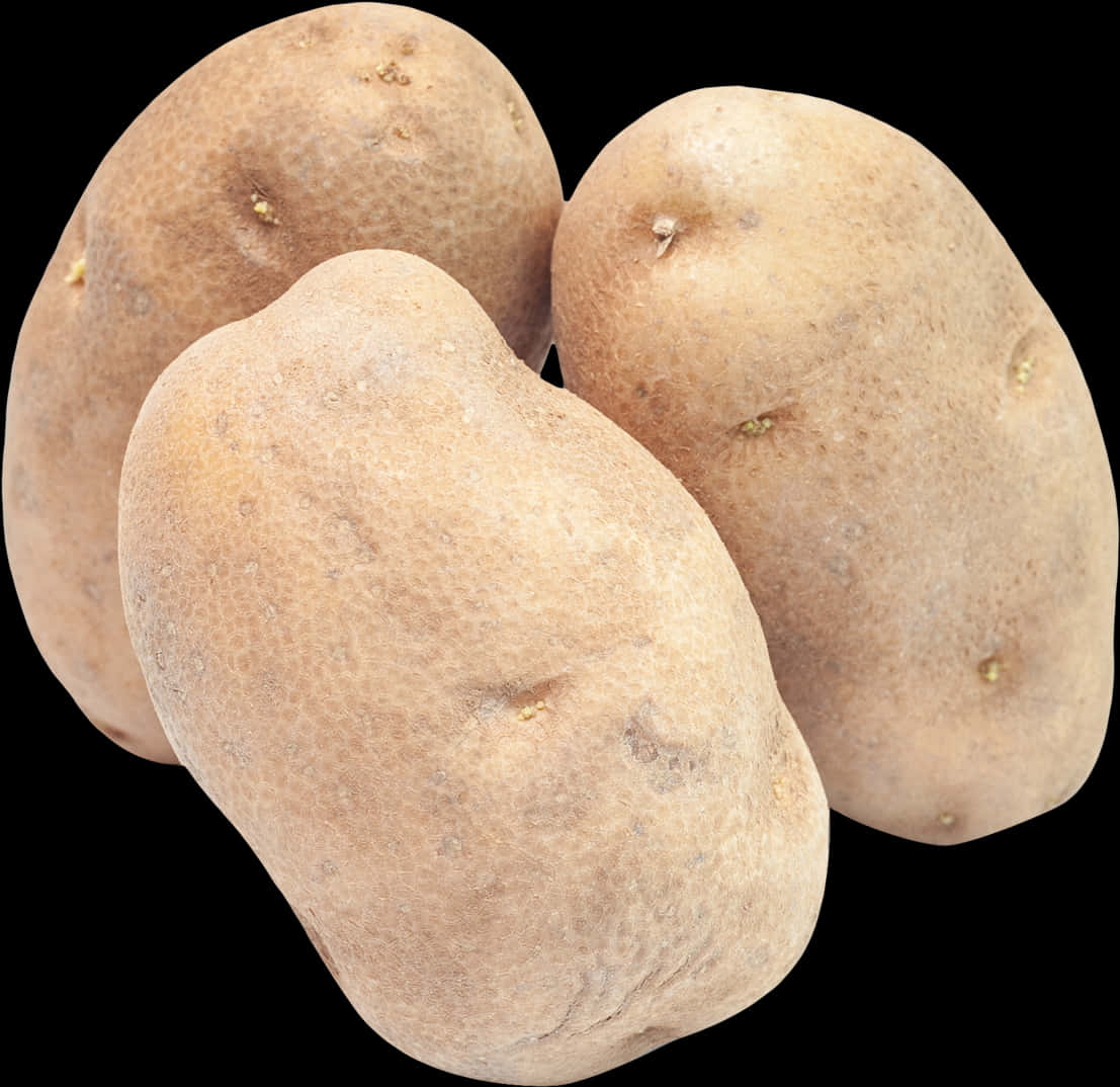 Fresh Russet Potatoes Isolated PNG