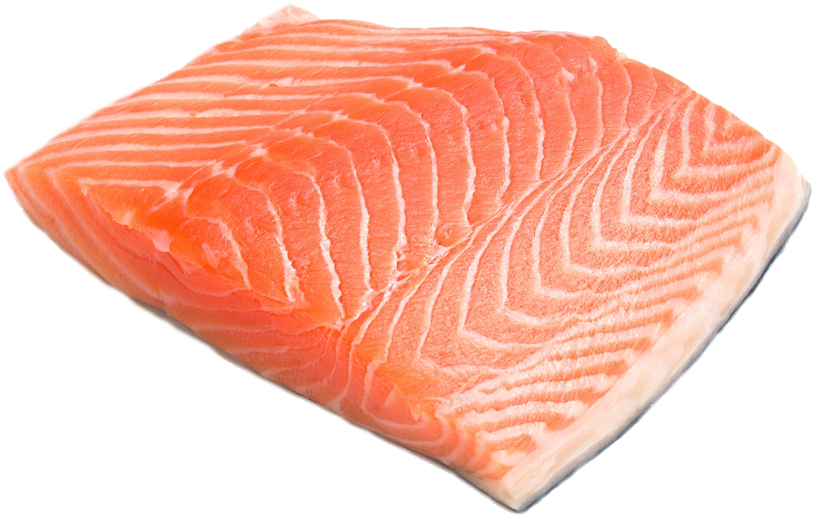 Fresh Salmon Fillet Isolated PNG