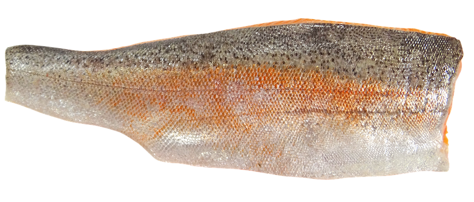 Fresh Salmon Fillet Texture PNG