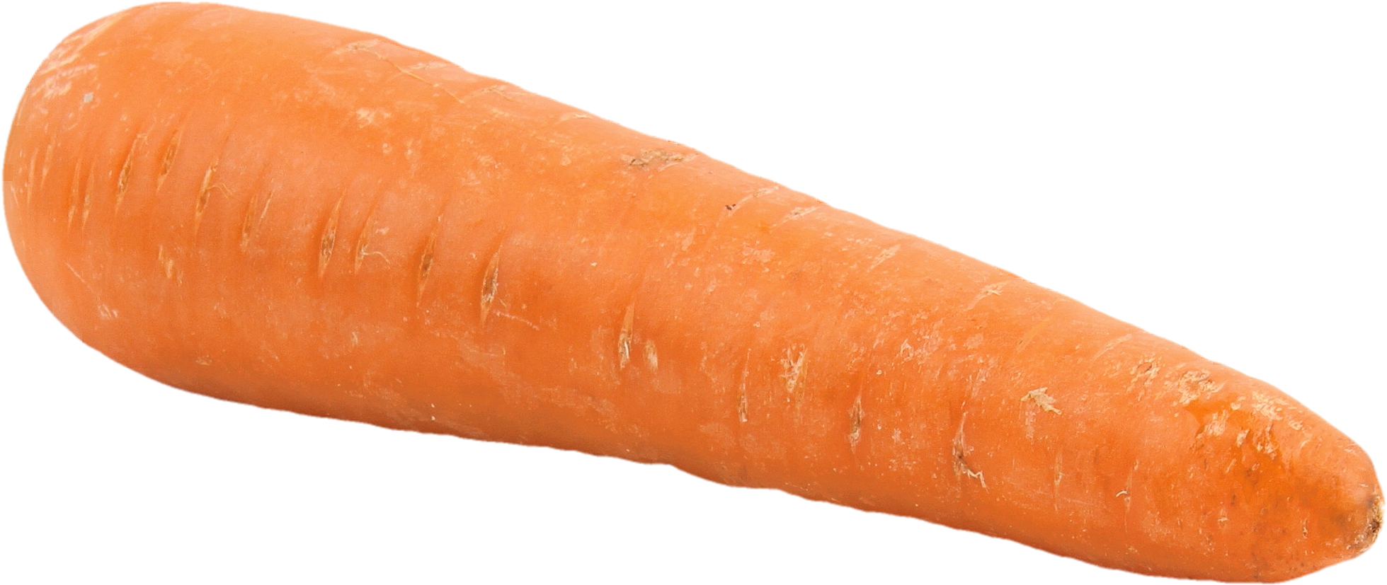 Fresh Single Carrot Isolated.png PNG