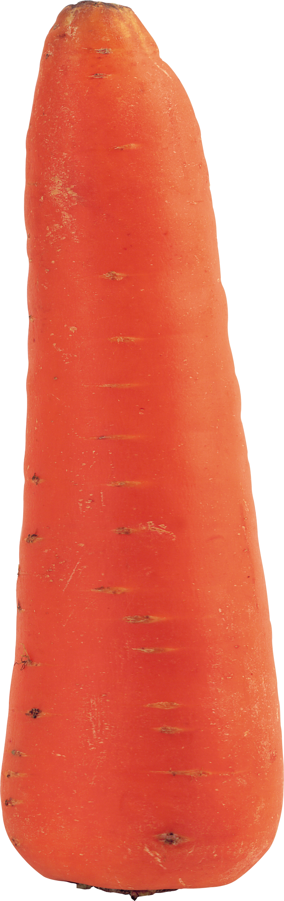 Fresh Single Carrot Isolated PNG