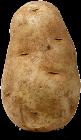 Fresh Single Potato Standing PNG
