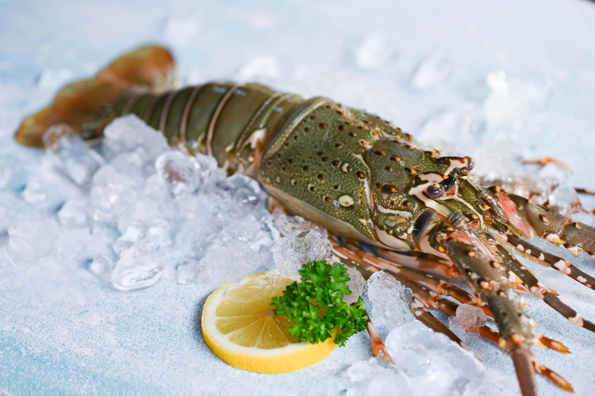 Fresh Spiny Lobsteron Icewith Lemon Wallpaper