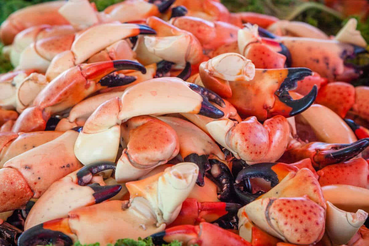 Fresh Stone Crab Claws Market Wallpaper