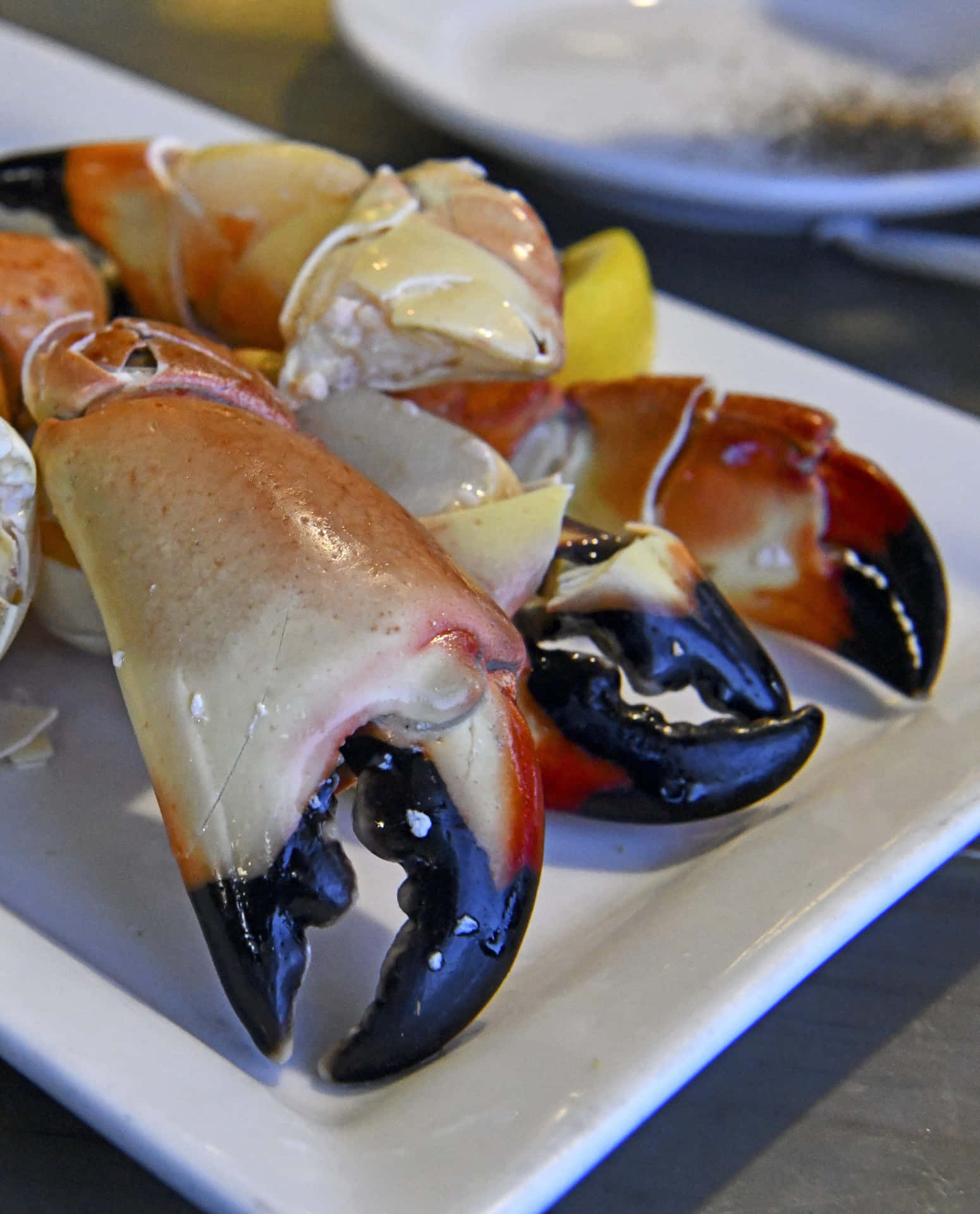 Fresh Stone Crab Claws Plated Wallpaper